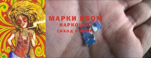 стаф Елизово