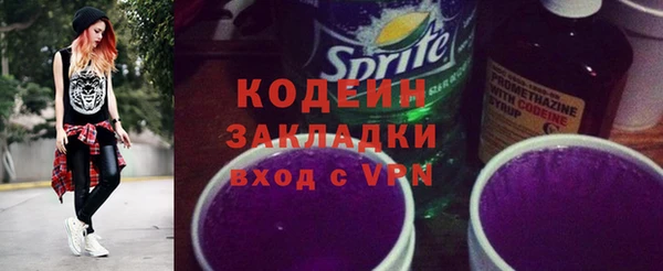 стаф Елизово
