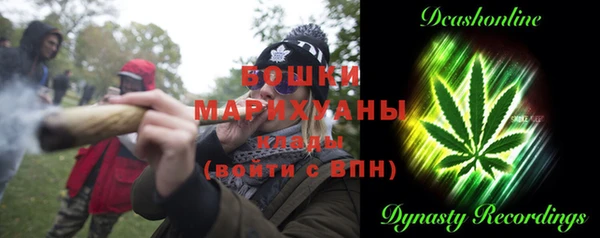 стаф Елизово