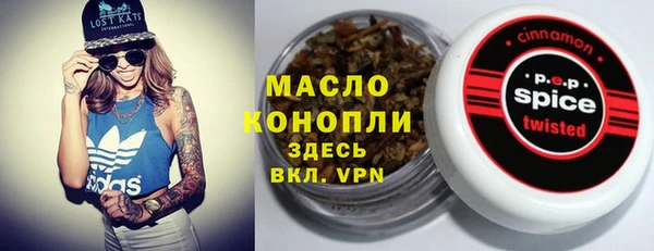 спайс Ельня