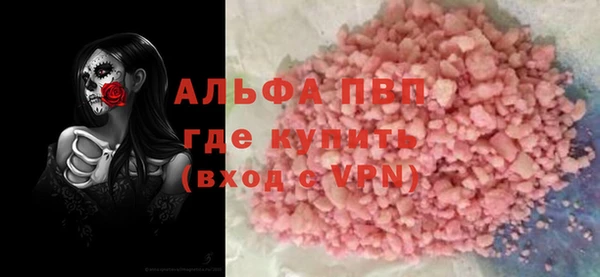 стаф Елизово