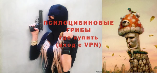 стаф Елизово