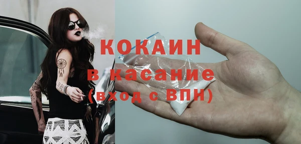 стаф Елизово