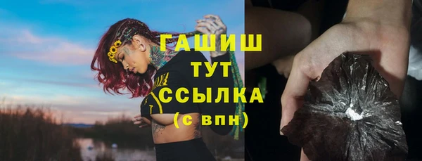 стаф Елизово