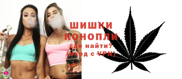 спайс Ельня