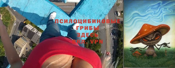 стаф Елизово