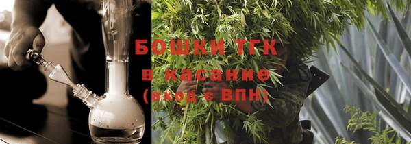 спайс Ельня