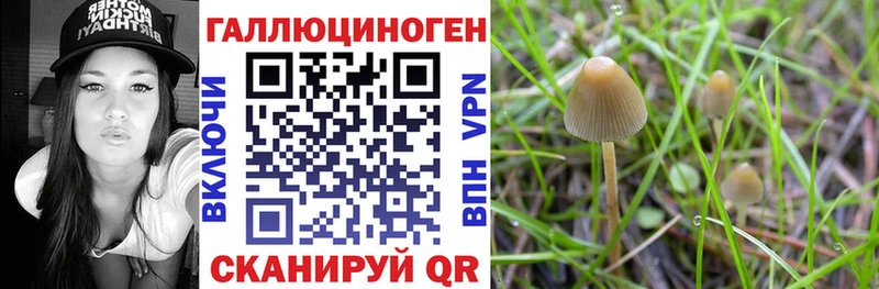 Псилоцибиновые грибы ЛСД  Купить закладки  Гагарин 